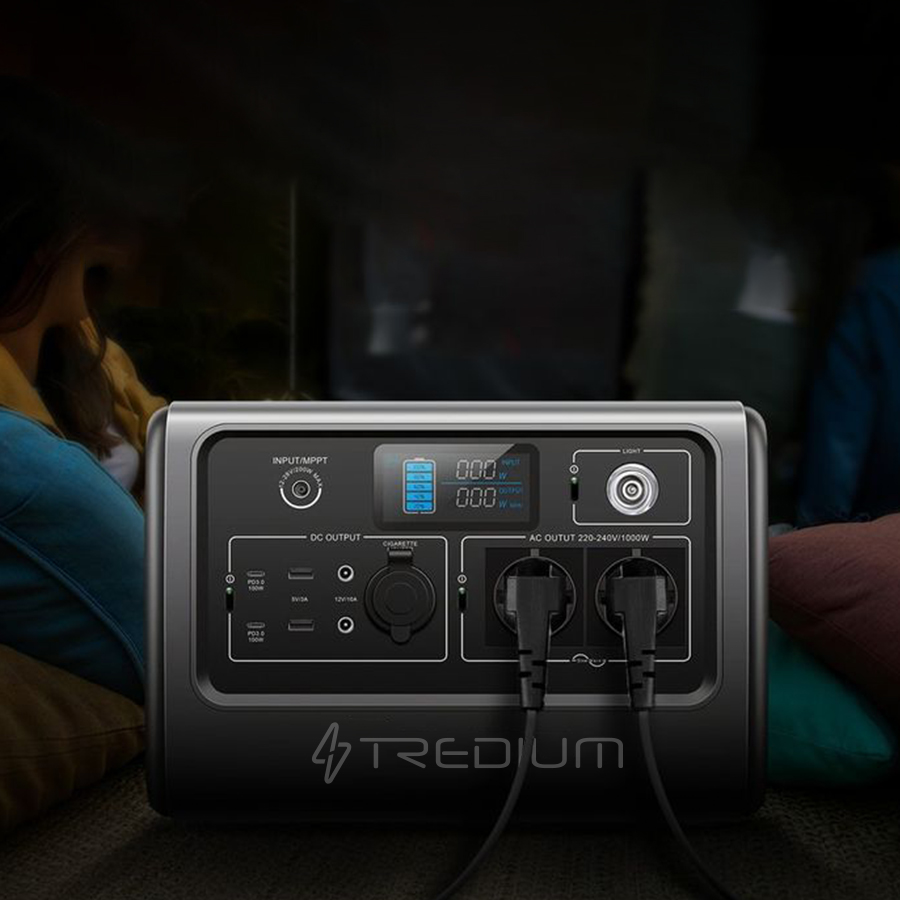 Transplanting Seedlings