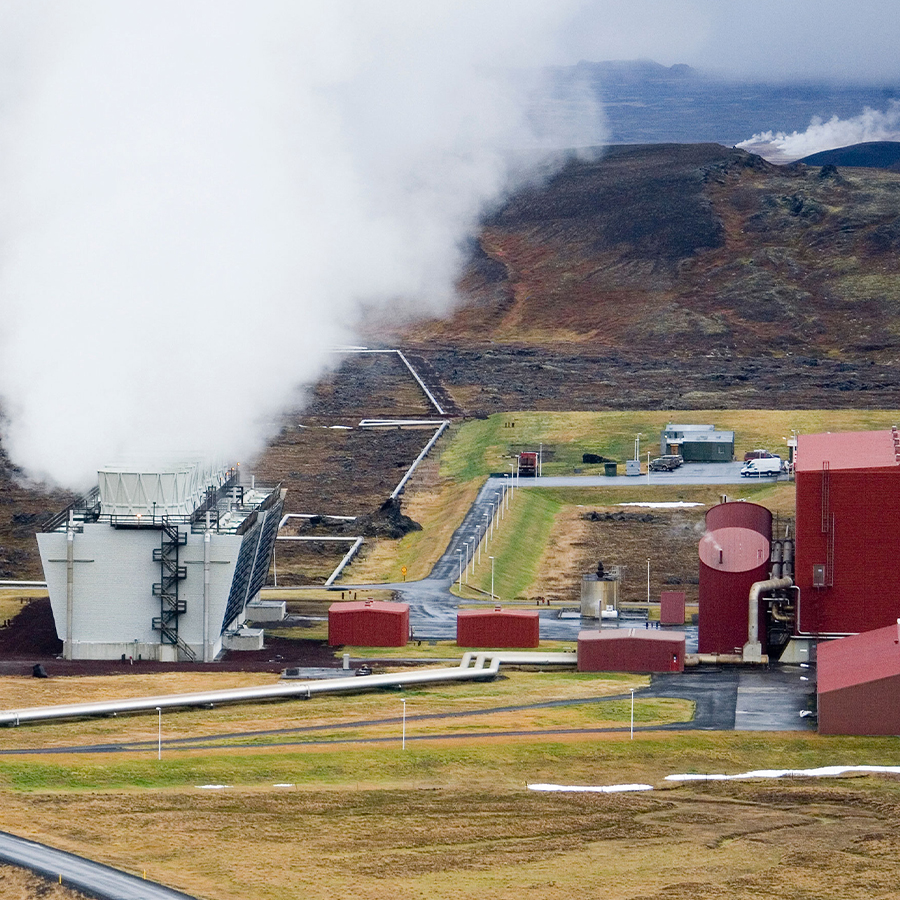 Transplanting Seedlings