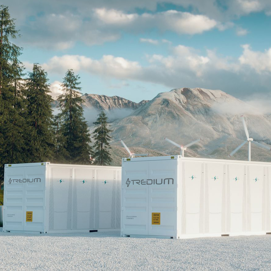 Transplanting Seedlings