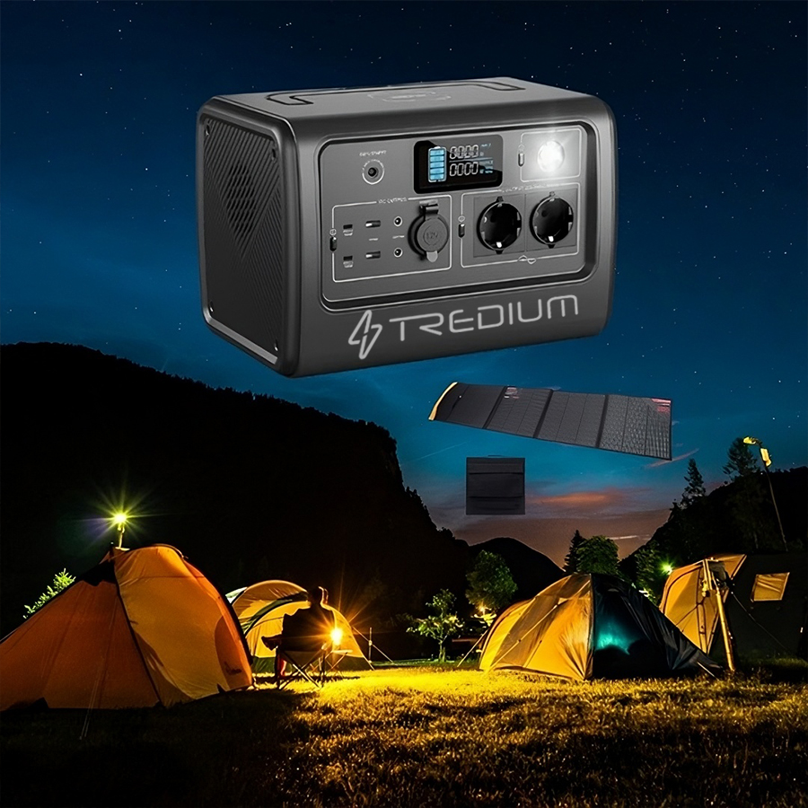 Transplanting Seedlings