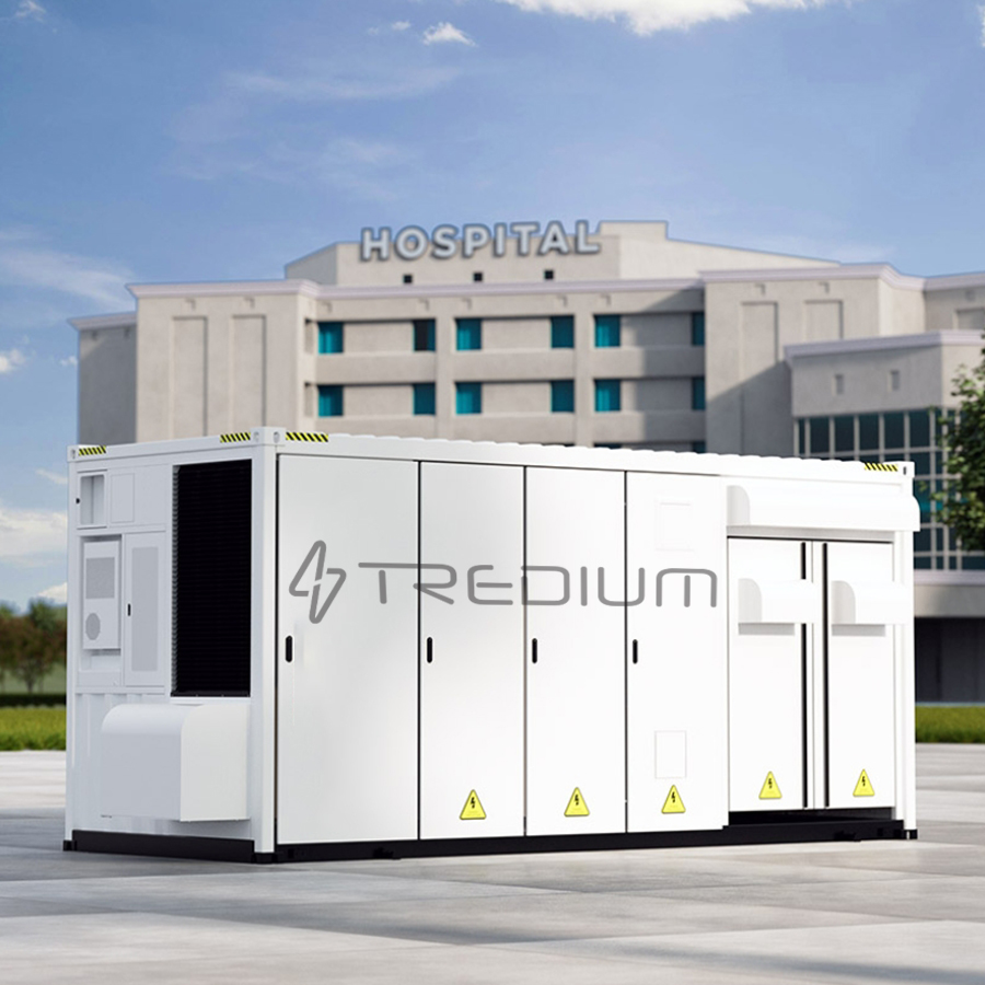 Transplanting Seedlings