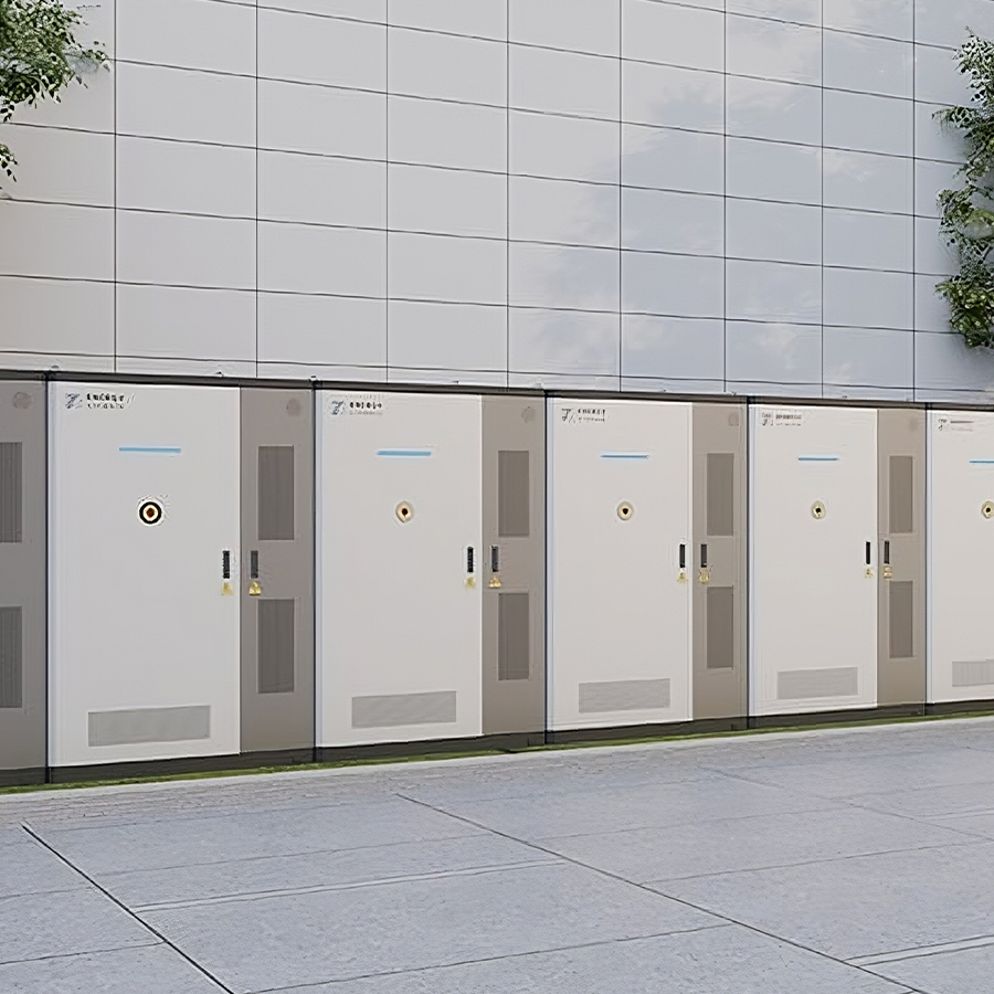 Transplanting Seedlings