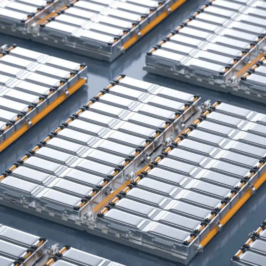 Transplanting Seedlings