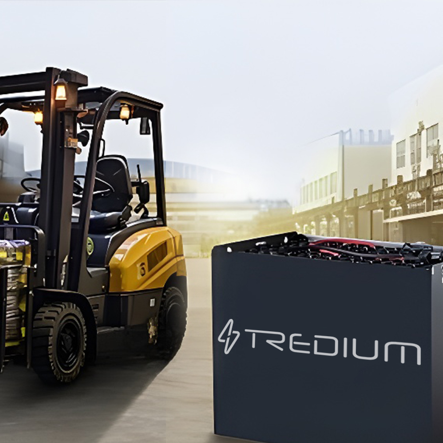 Transplanting Seedlings