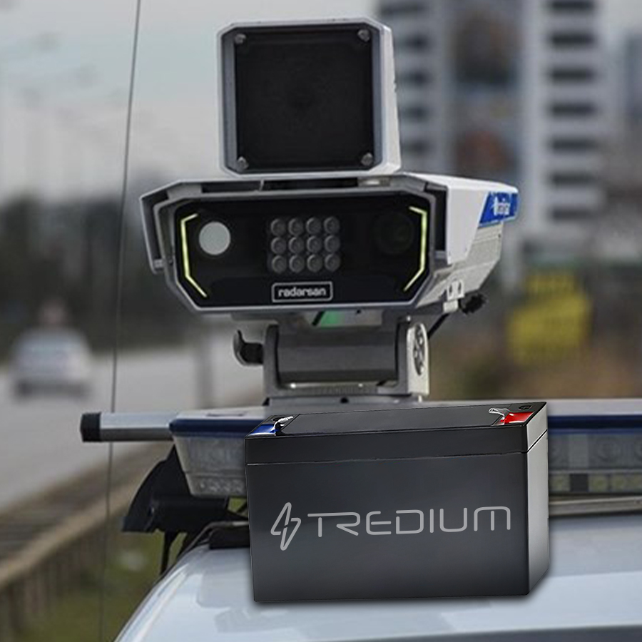 Transplanting Seedlings