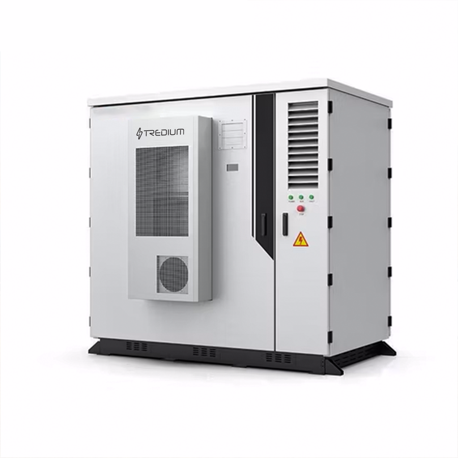 Transplanting Seedlings