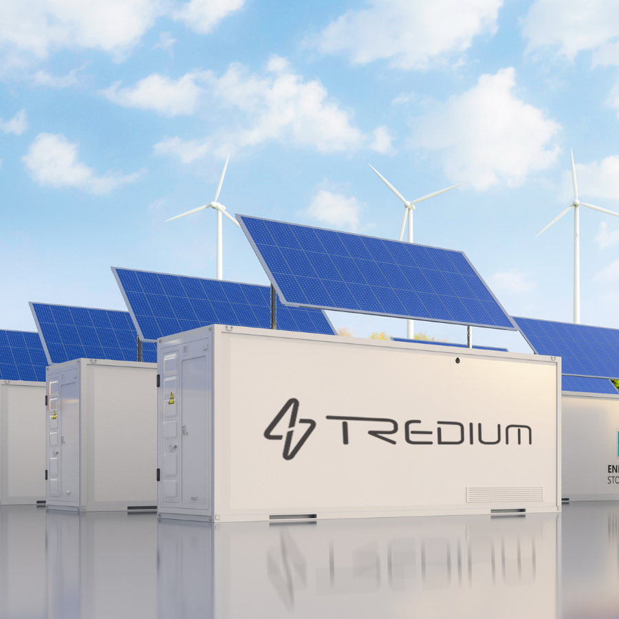 Transplanting Seedlings