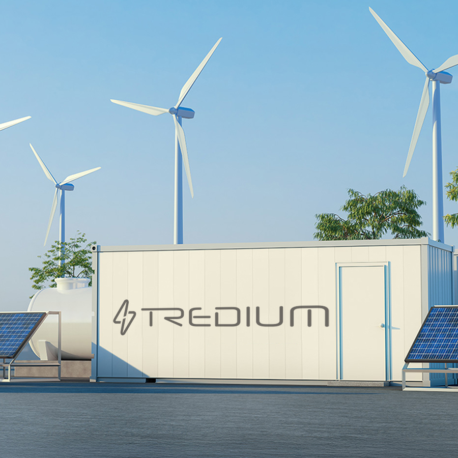 Transplanting Seedlings